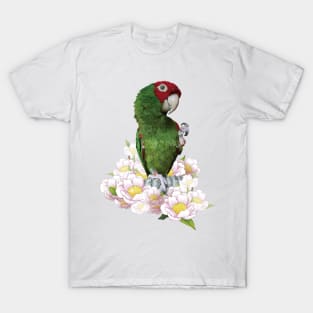 Red-masked Parakeet T-Shirt